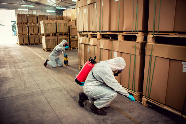 Best Cockroach Control Services  in Wellsville, UT