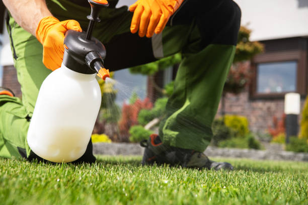 Best Bed Bug Extermination  in Wellsville, UT