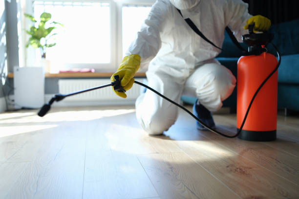 Reliable Wellsville, UT Pest Control Solutions