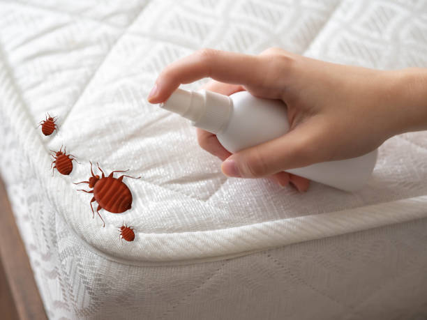 Best Pest Prevention Services  in Wellsville, UT