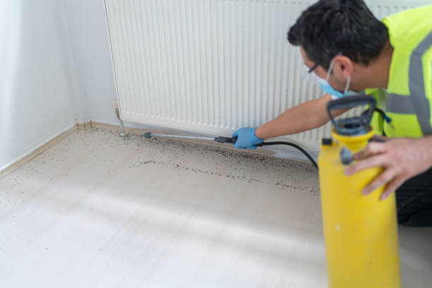 Best Affordable Pest Control Services  in Wellsville, UT